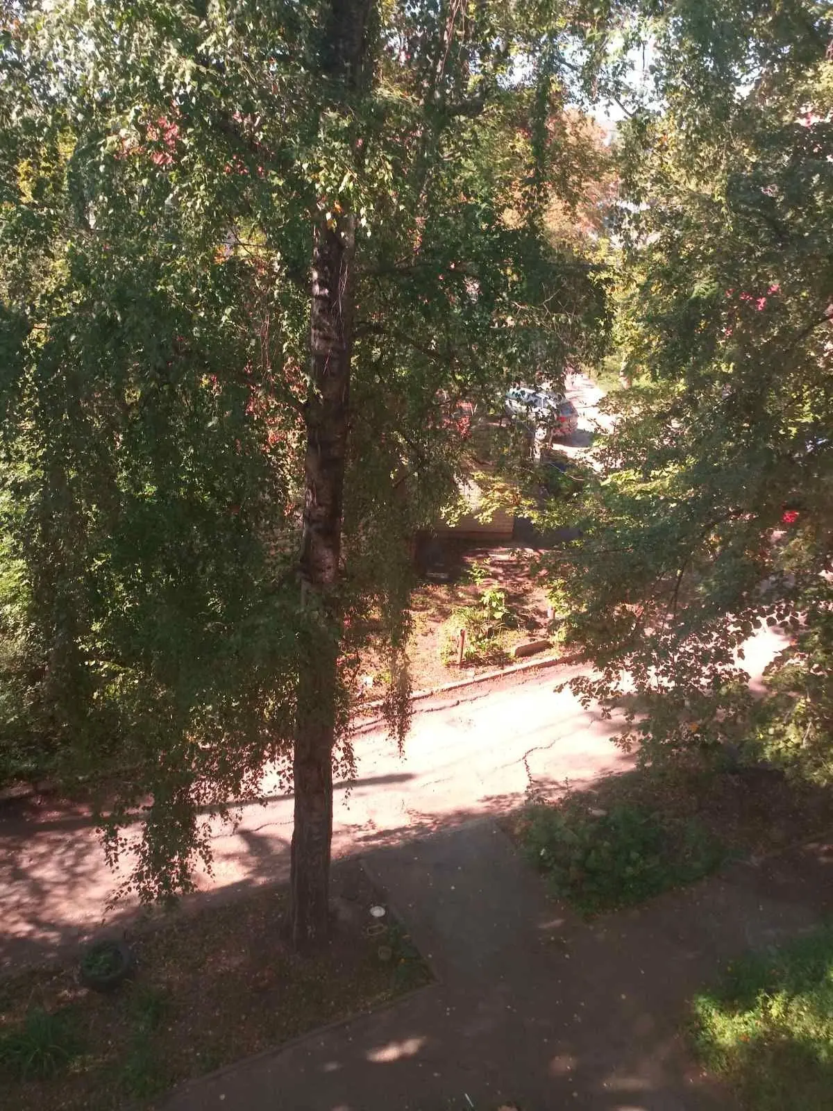 Object photo 8