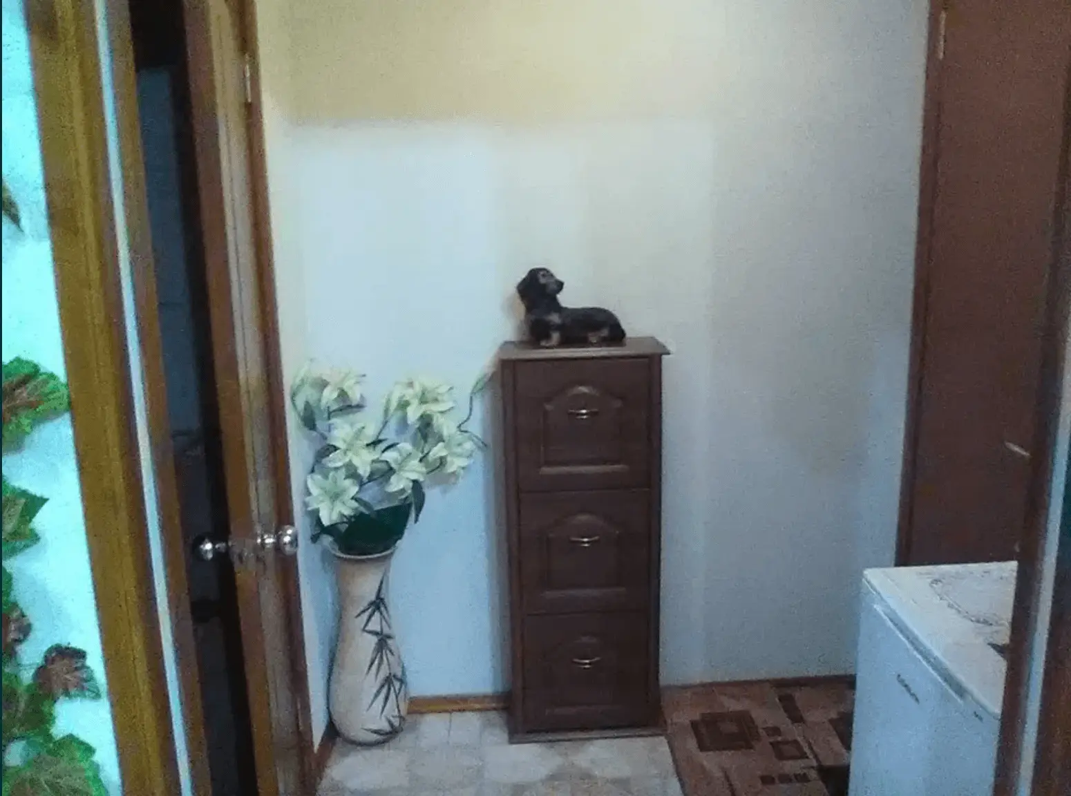 Object photo 5