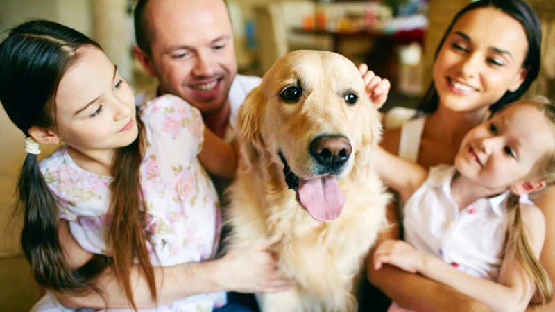 4 лайфхака, которые помогут вам снять квартиру с домашним животным